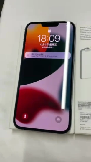 Glaskameraschutz Magnetische Handyhülle für Phone14 PRO